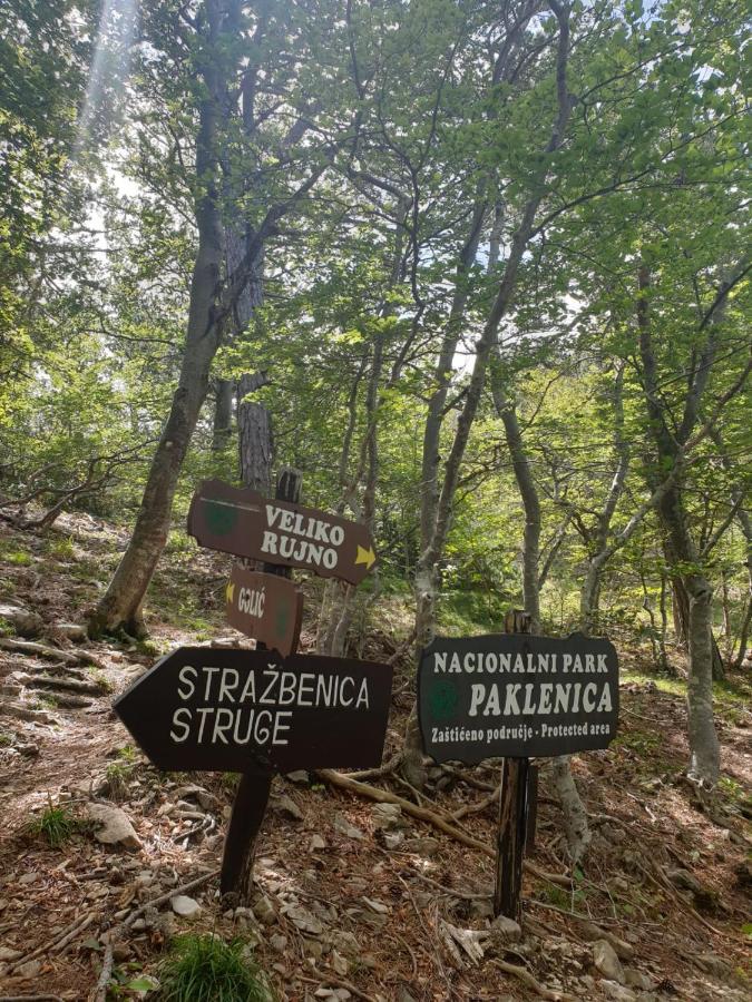 Apartamento Vito Starigrad Paklenica Exterior foto